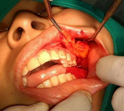 Odontologia 10